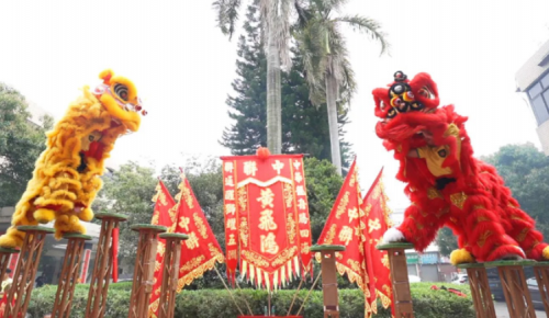 龙腾狮跃，，，，，，共铸绚烂未来！