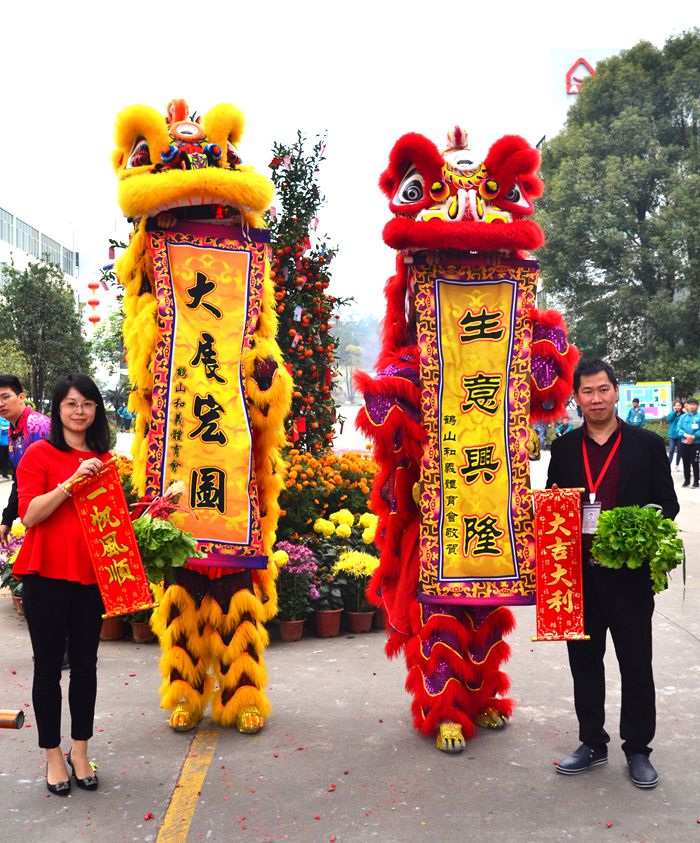 9001cc金沙以诚为本(中国)有限公司官网