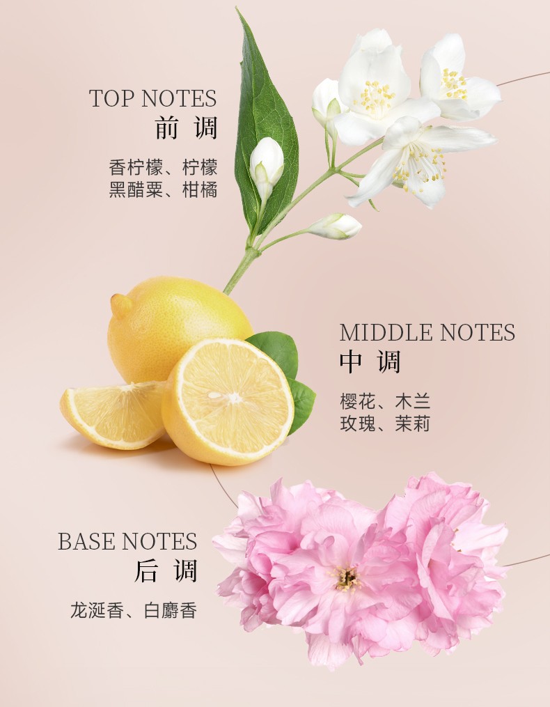 丽塔斯特美肌弹润花本香氛沐浴露_9001cc金沙以诚为本国际官网-9001cc金沙以诚为本美容保健品有限公司官网-9001cc金沙以诚为本金纯官网