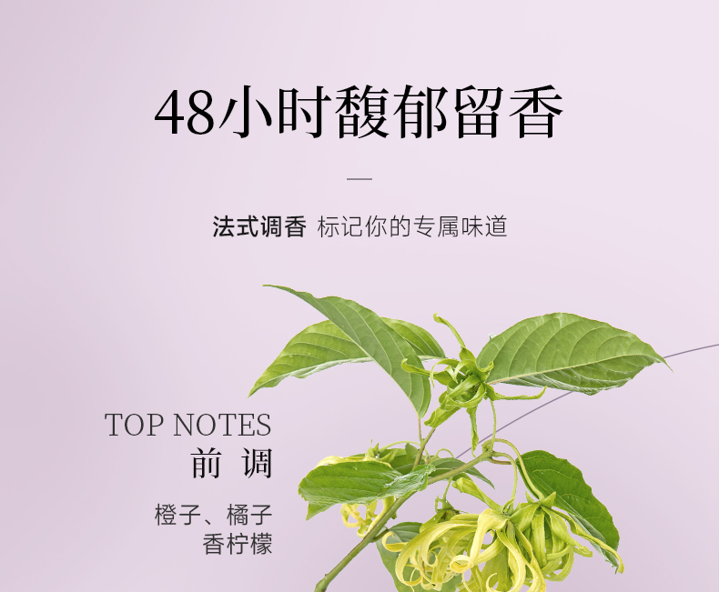 丽塔斯特柔韧顺滑花本香氛洗发乳_9001cc金沙以诚为本国际官网-9001cc金沙以诚为本美容保健品有限公司官网-9001cc金沙以诚为本金纯官网