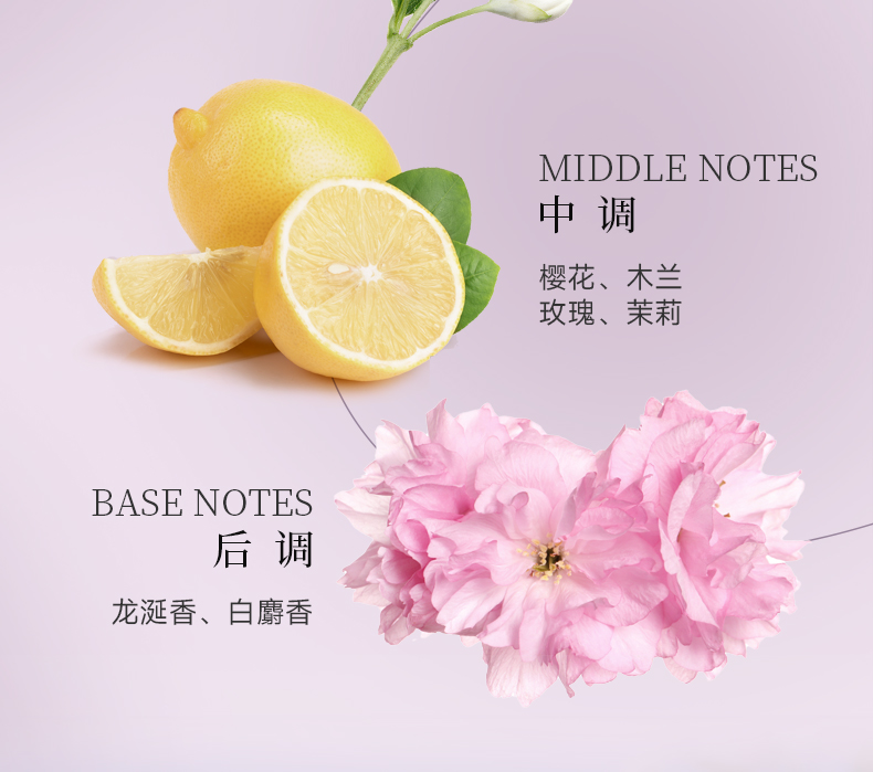 丽塔斯特去屑柔顺花本香氛洗发乳_9001cc金沙以诚为本国际官网-9001cc金沙以诚为本美容保健品有限公司官网-9001cc金沙以诚为本金纯官网