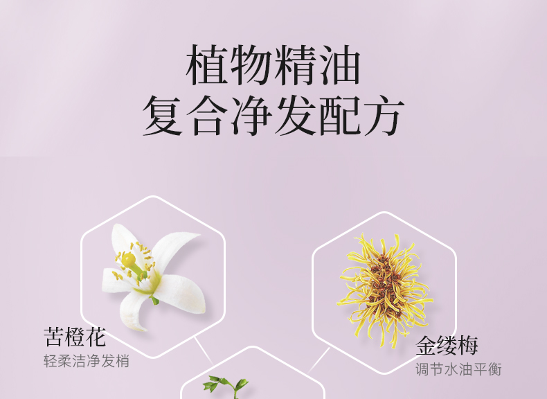 丽塔斯特控油蓬松花本香氛洗发乳_9001cc金沙以诚为本国际官网-9001cc金沙以诚为本美容保健品有限公司官网-9001cc金沙以诚为本金纯官网
